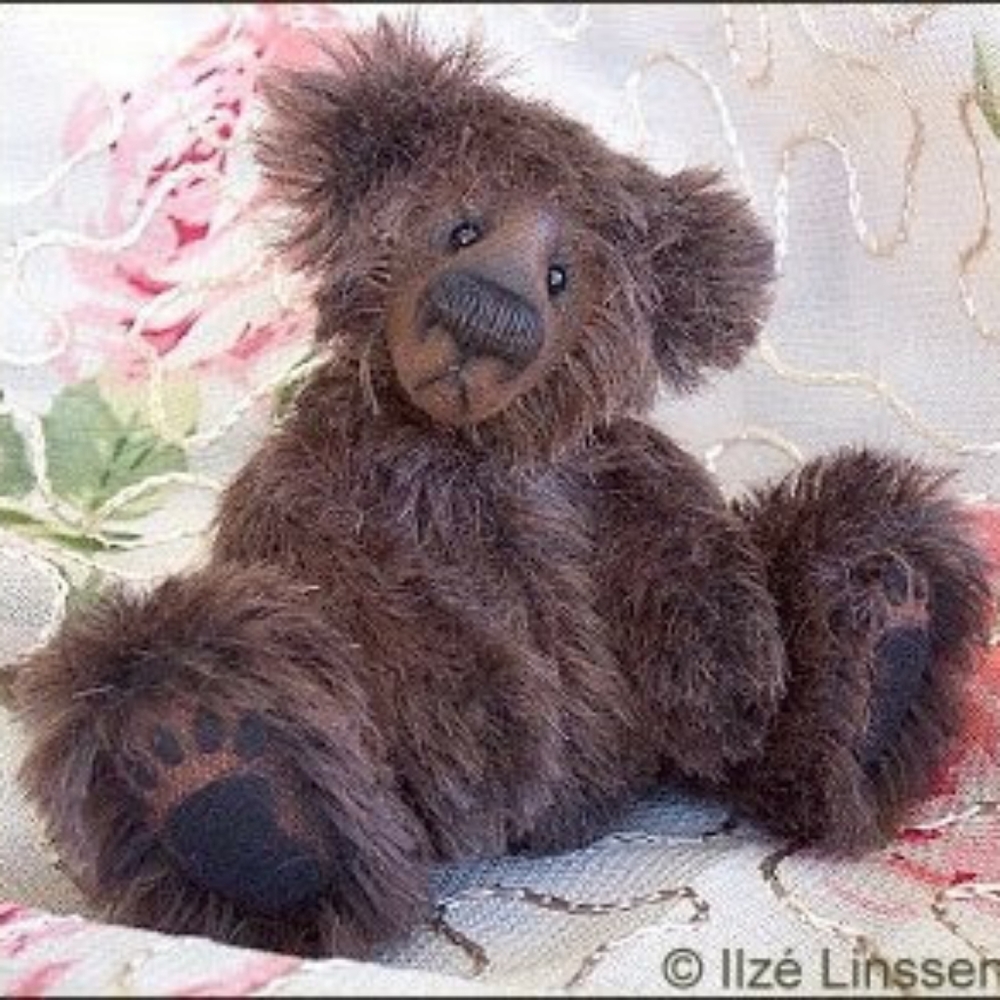 Meet your Posher, Angelk